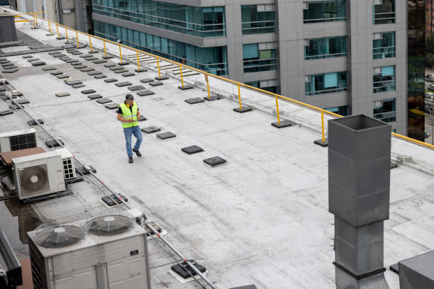 Best Roof Ventilation Installation  in Wabasso, FL