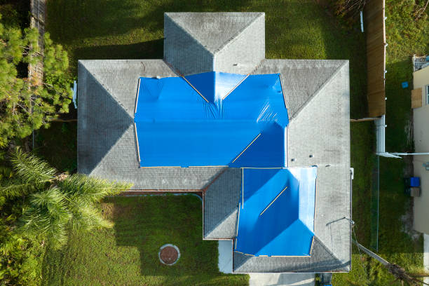 Best Roof Leak Repair  in Wabasso, FL